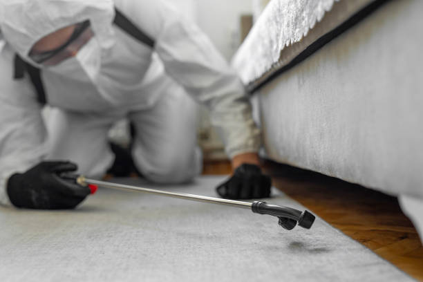 Professional Cockroach Control technician working in Sawmills, NC