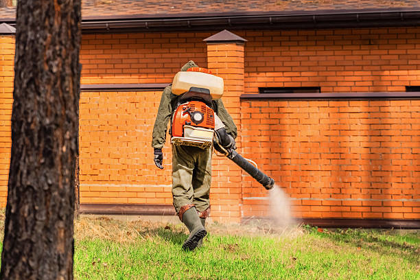 Trusted Mosquito Control service in Sawmills, NC - Nex Pest Control